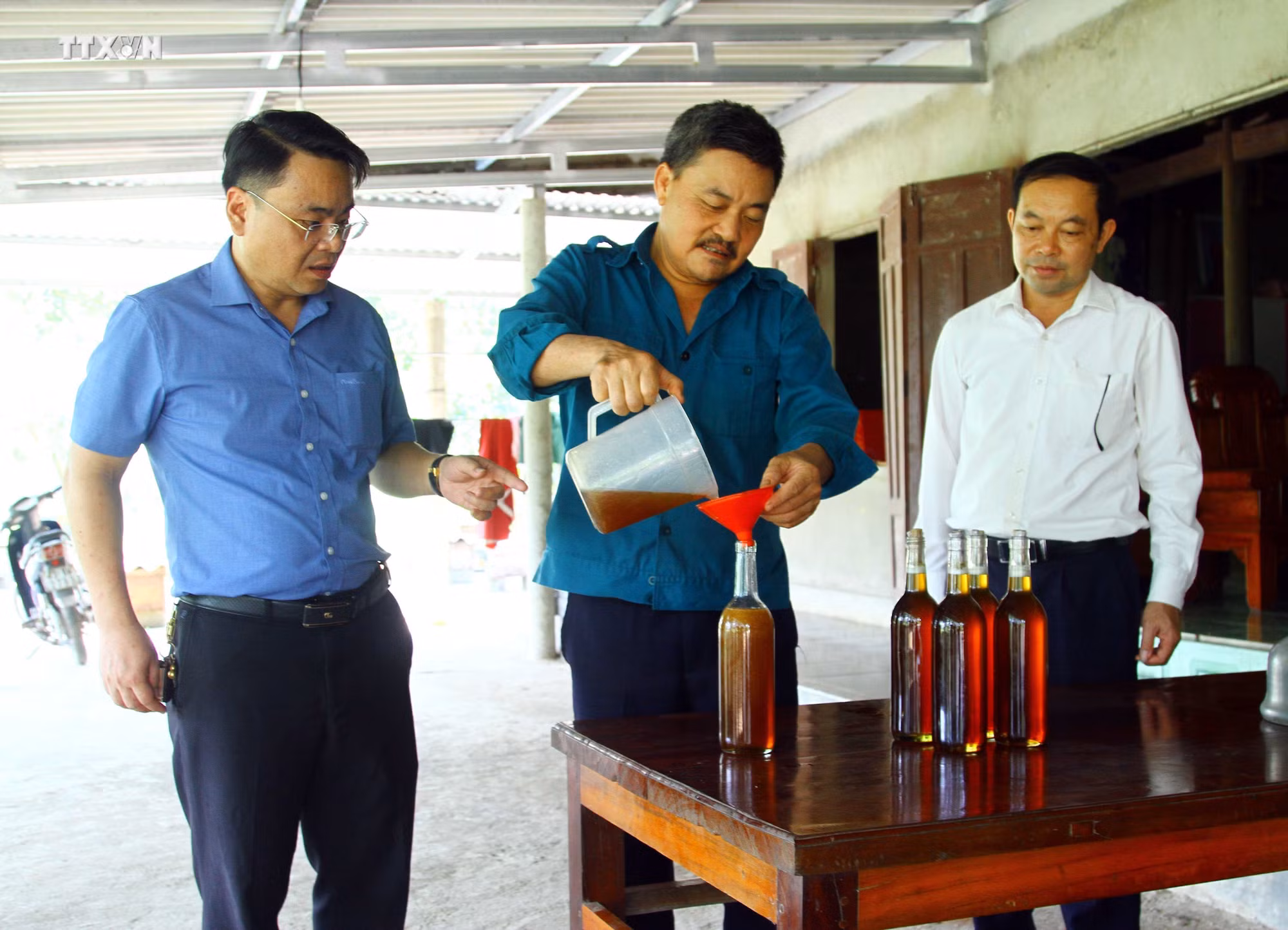 vna_potal_som_xay_dung_thuong_hieu_mat_ong_tai_huyen_minh_hoa_quang_binh_7307729.jpg