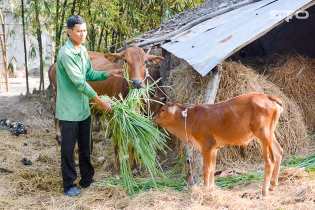Sóc Trăng nỗ lực giảm nhanh hộ nghèo ở vùng đồng bào Khmer
