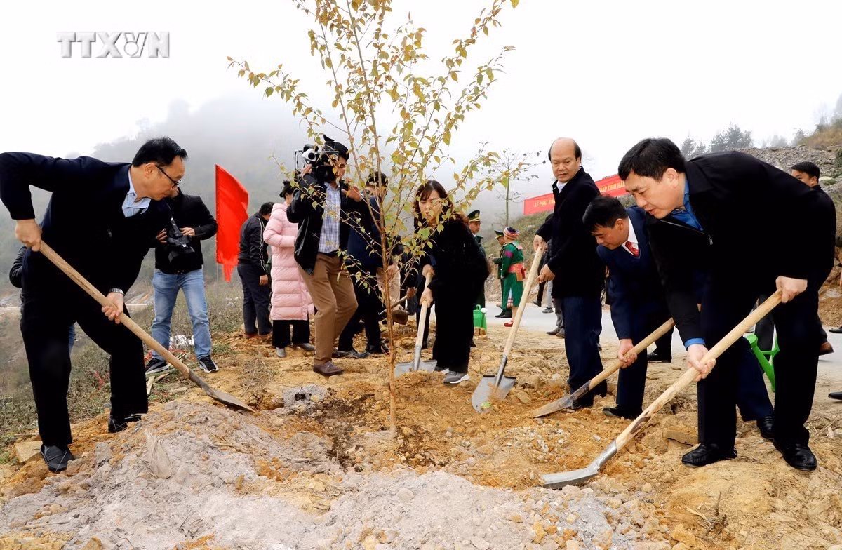 vna_potal_ha_giang_phat_dong_tet_trong_cay_“doi_doi_nho_on_bac_ho”_xuan_giap_thin_2024_7228691.jpg