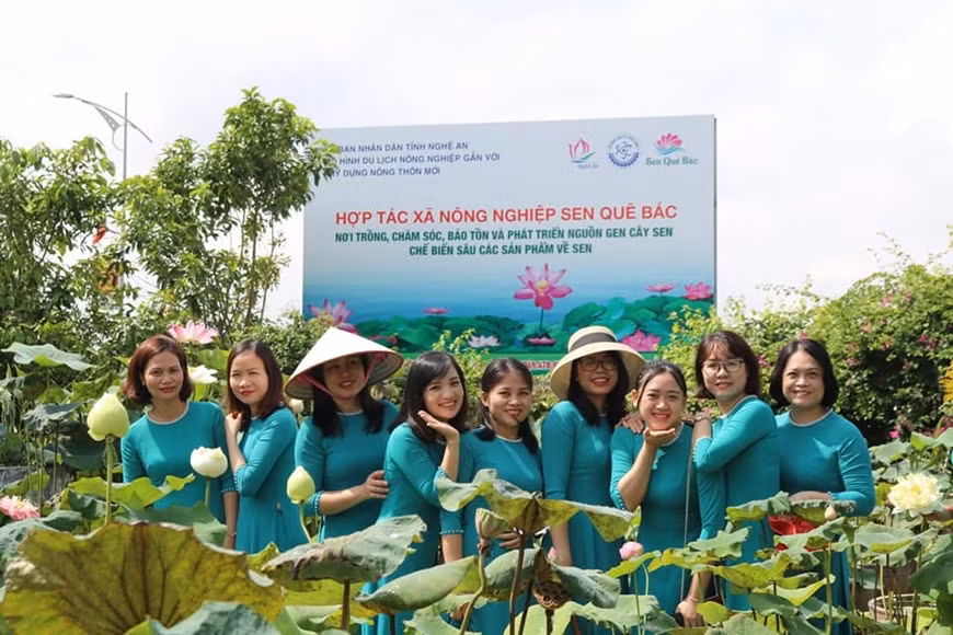 Nghệ An phát triển du lịch gắn với quảng bá nông sản địa phương