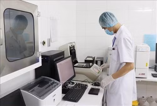 Việt Nam phát chủng virus biến thể mới SARS-CoV-2 của Nam Phi có khả năng lây lan nhanh