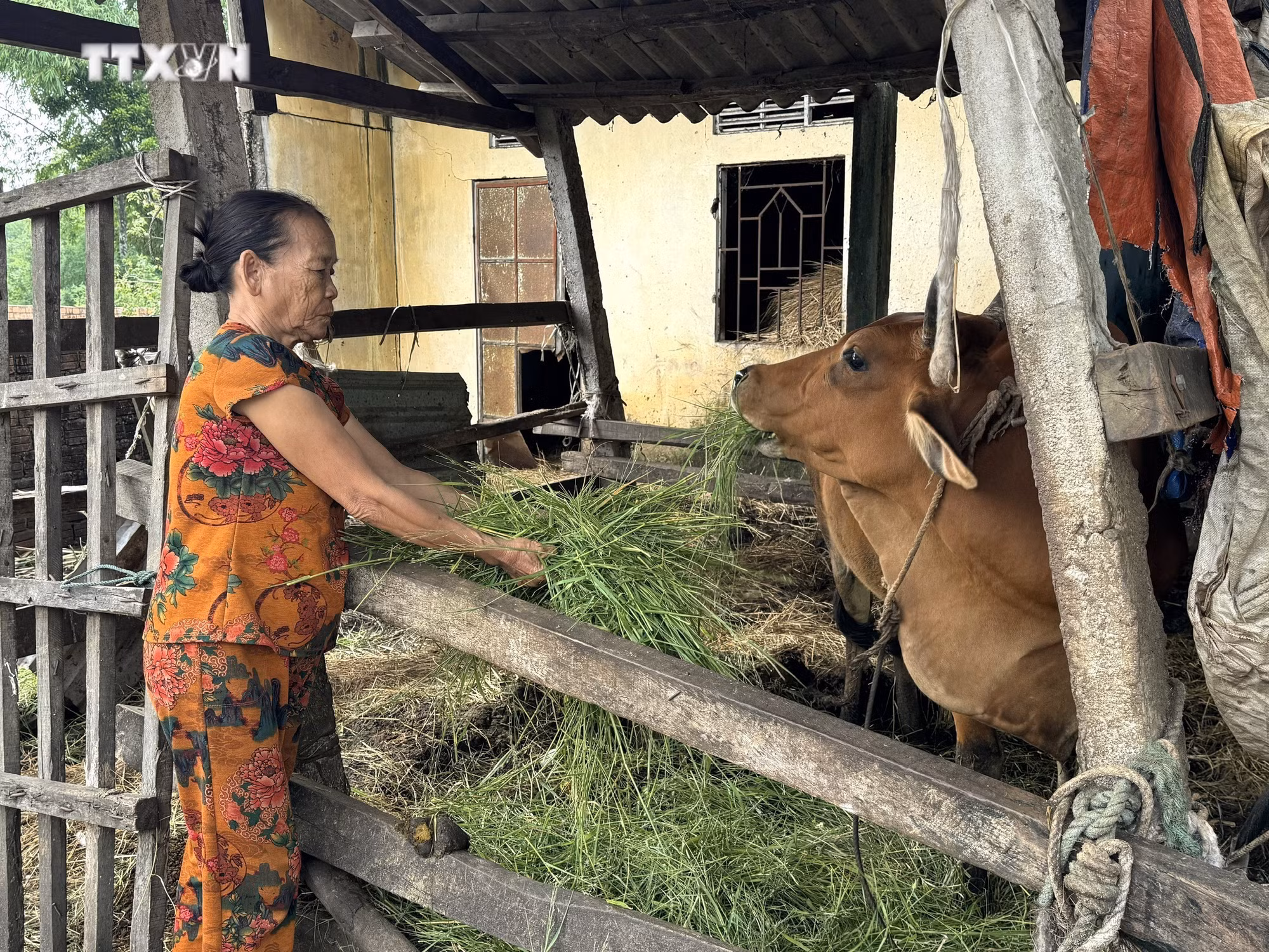 vna_potal_quang_ngai_tang_cuong_truyen_thong_de_giam_ngheo_ben_vung_7698176.jpg