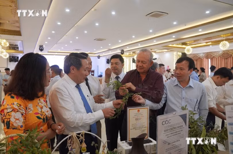 vna_potal_quang_tri_khuyen_khich_phat_trien_duoc_lieu_thanh_loai_cay_trong_chu_luc_6181745_1.jpg
