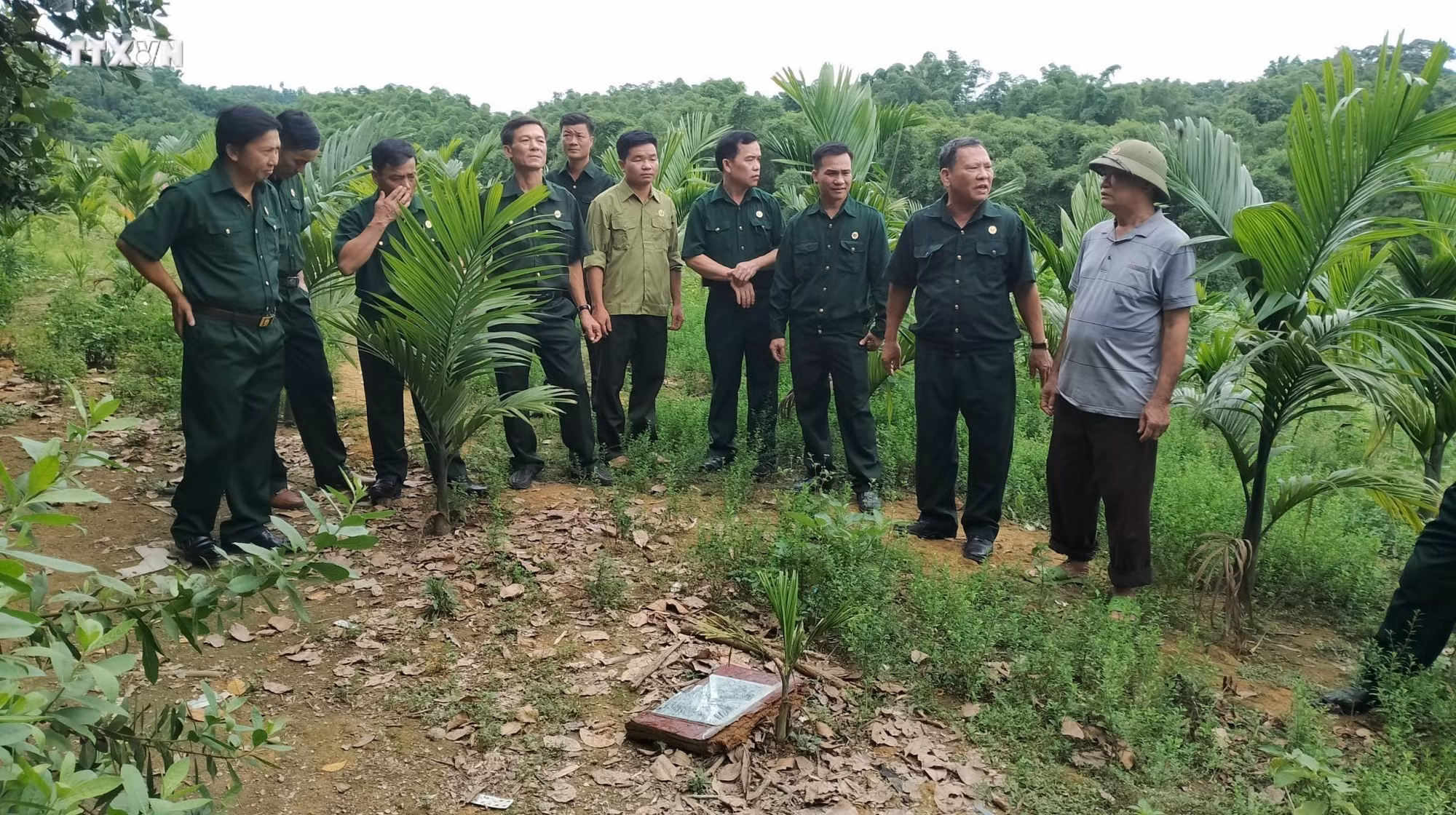 vna_potal_cuu_chien_binh_no_luc_phat_trien_kinh_te_vuon_len_thoat_ngheo_7506439.jpg