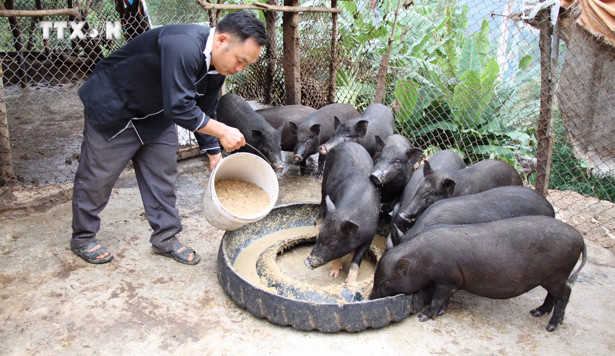 vna_potal_xay_dung_dang_va_he_thong_chinh_tri_bi_thu_chi_bo_nguoi_mong_hoc_va_lam_theo_loi_bac_7383008.jpg