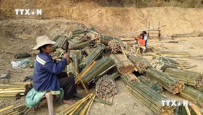 vna_potal_thanh_hoa_nguoi_trong_luong_vau_gap_kho_khan_khi_gia_xuong_thap_5860207.jpg