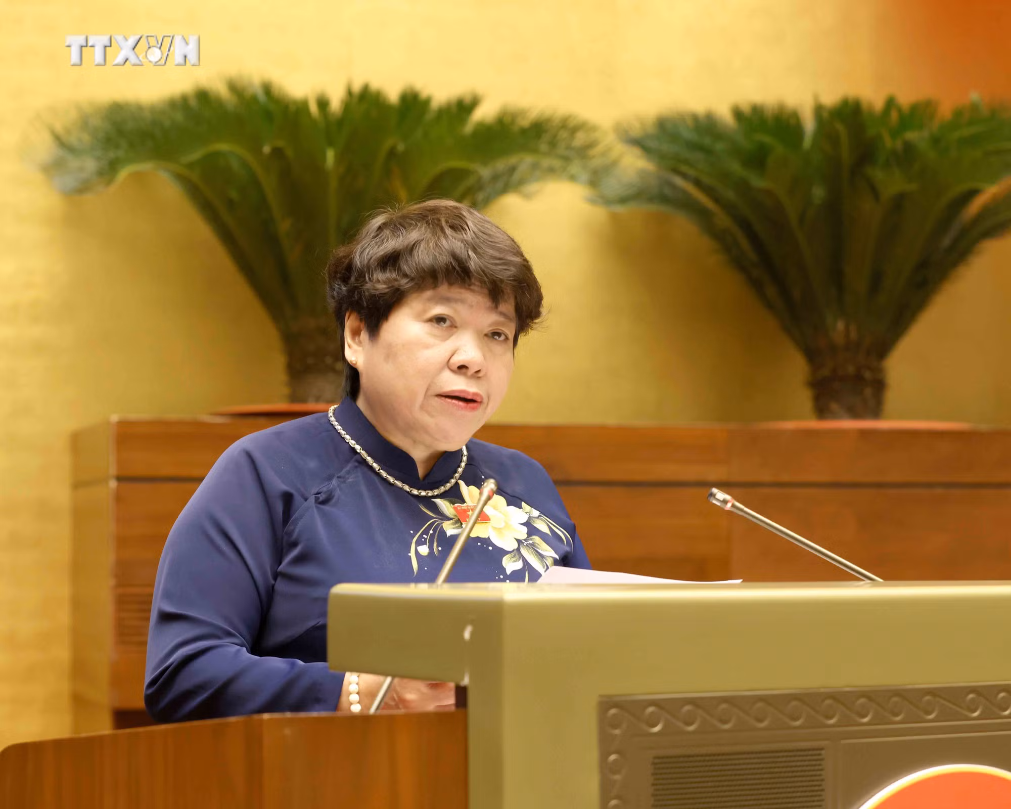 vna_potal_quoc_hoi_thao_luan_ve_du_an_luat_viec_lam__7725595.jpg