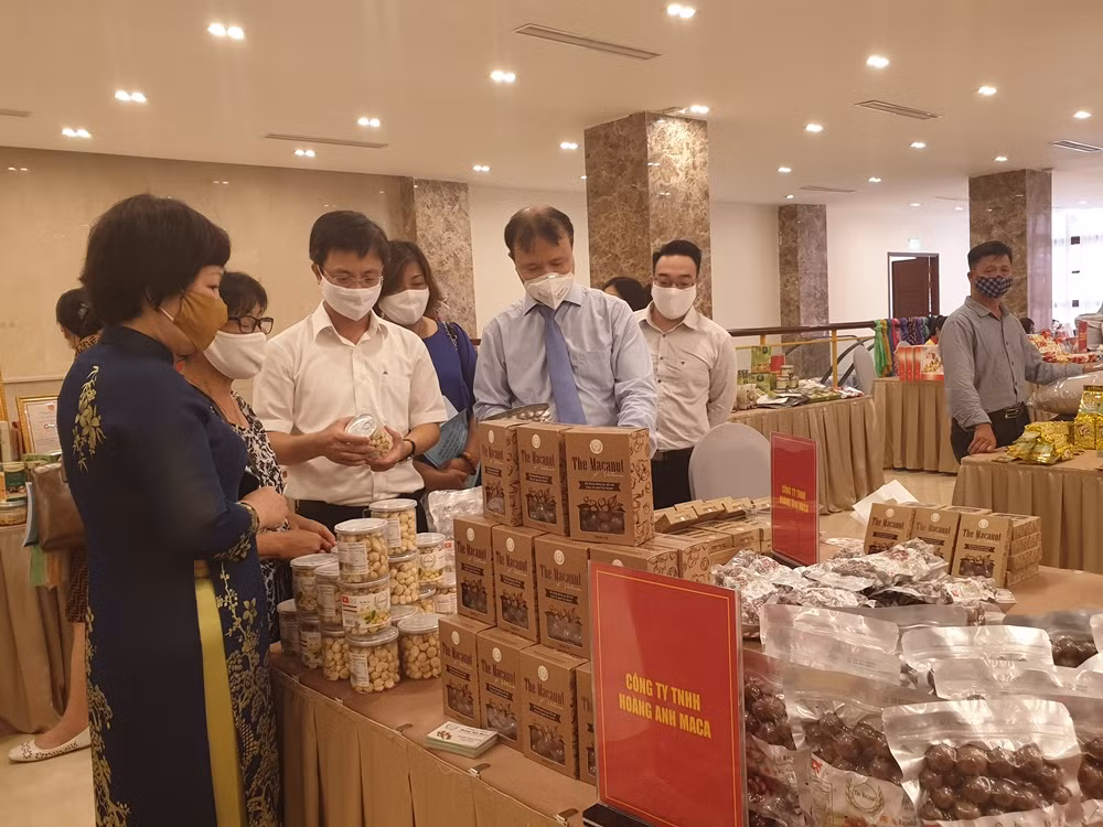 Tổng kết chương trình phát triển thương mại miền núi, vùng sâu, vùng xa và hải đảo giai đoạn 2015 - 2020