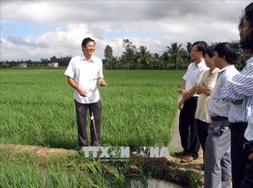Sóc Trăng chuyển đổi cơ cấu cây trồng hướng phát huy thế mạnh địa phương 