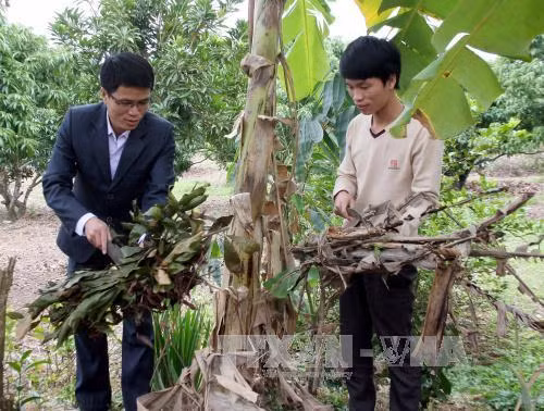 Dự án 600 Phó Chủ tịch xã: Những hạt giống đỏ trên vùng đất khó (Bài 4)