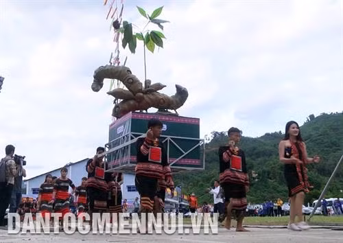 Lễ hội sâm Ngọc Linh lần thứ 3 – 2019