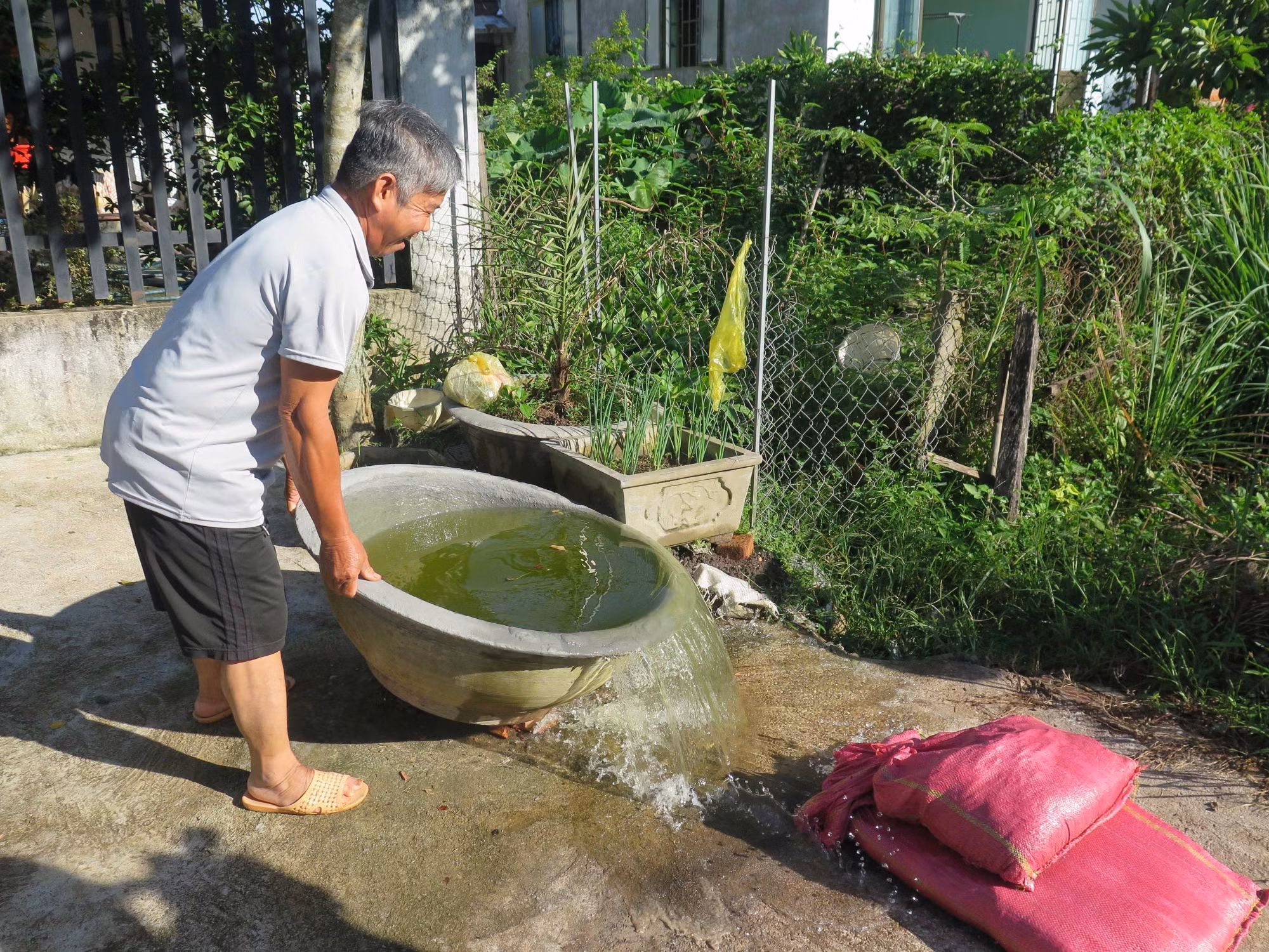 Sốt xuất huyết - biểu hiện và cách phòng bệnh