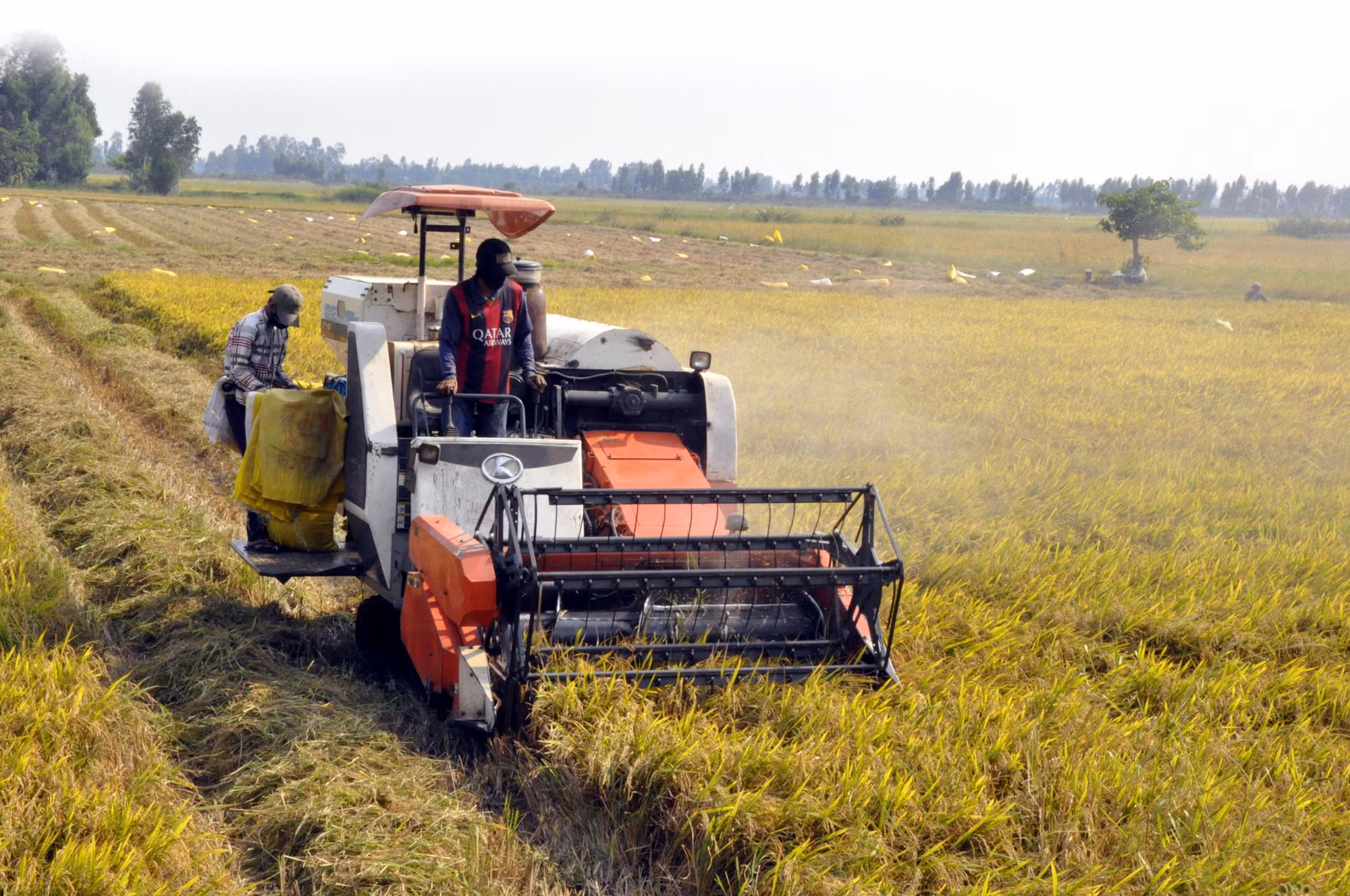 Tư duy mới trên cánh đồng cũ ở Kiên Giang