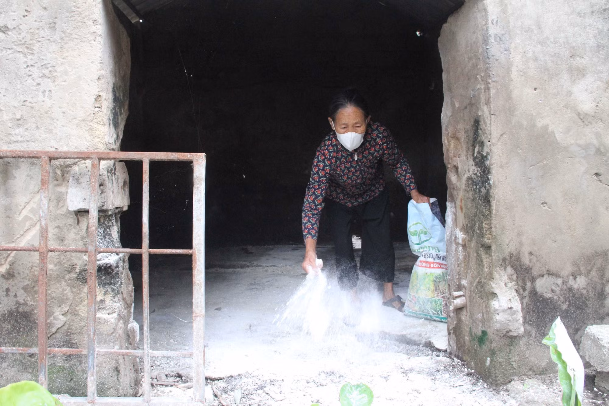 Hà Tĩnh: Triển khai các biện pháp ngặn chặn dịch tả lợn châu Phi bùng phát 