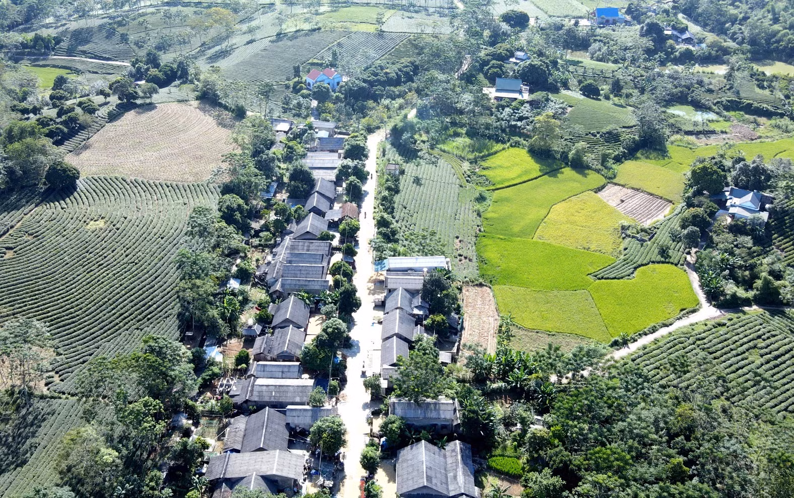 20 năm nhường đất cho dự án Thủy điện Tuyên Quang