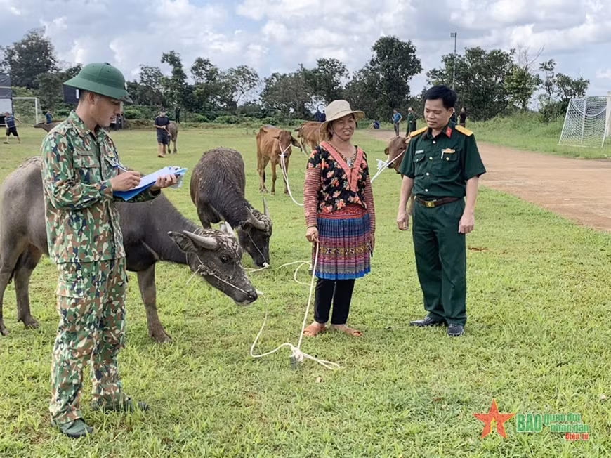 Đại tá Lại Văn Tuấn, Phó chủ nhiệm Chính trị Binh đoàn 16 tặng trâu cho người dân. Ảnh: qdnd.vn