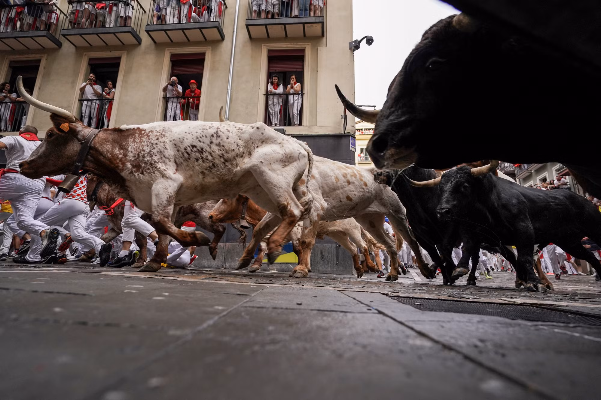 Khai màn mùa lễ hội đấu bò San Fermin