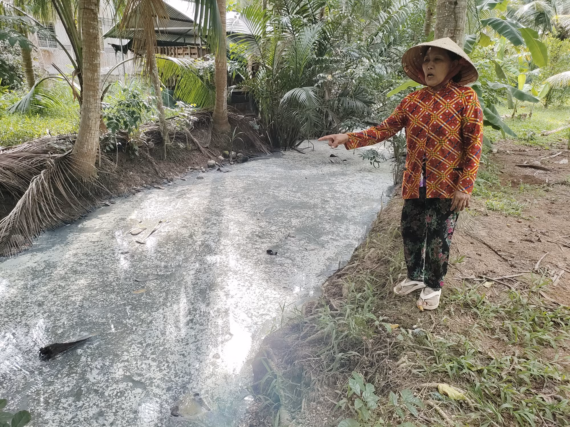 Người dân kiến nghị sớm khắc phục ô nhiễm kênh tại Giồng Trôm, Bến Tre