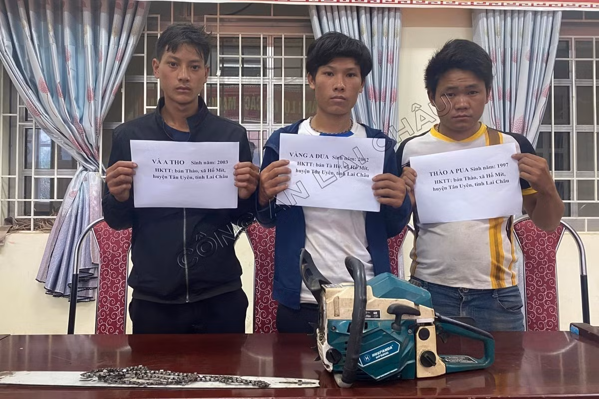 Ba đối tượng Vàng A Tho, Vàng A Đua và Thào A Pua cùng công cụ phá rừng. Ảnh: TTXVN phát