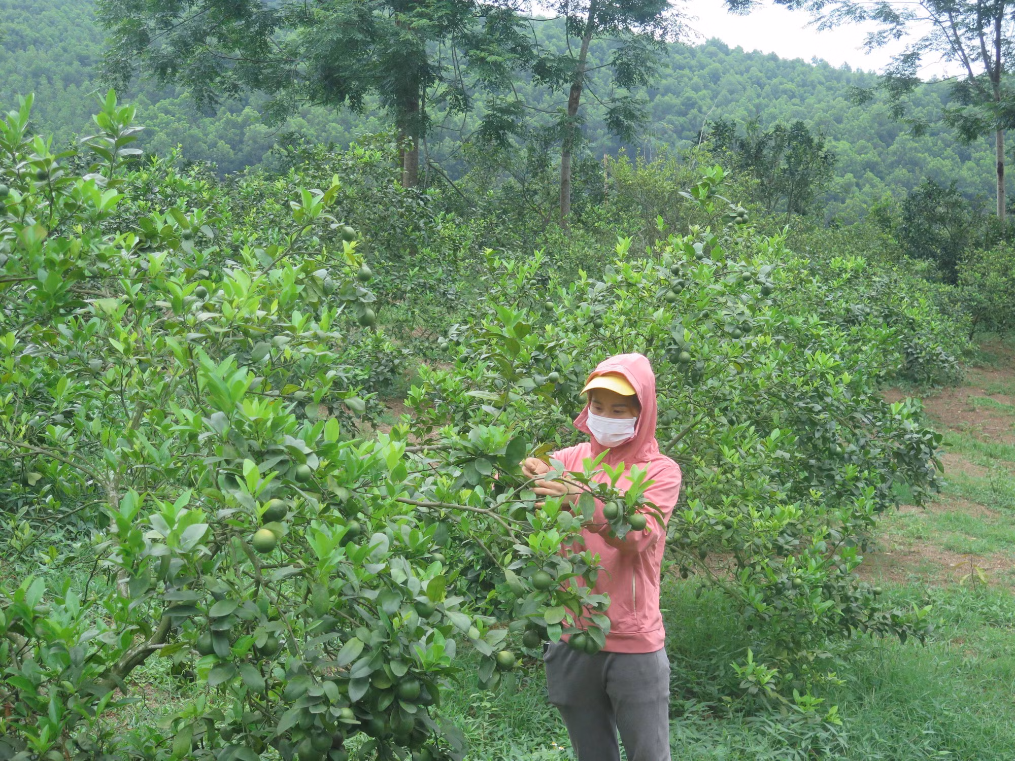 Xã miền núi Minh Khương vượt khó xây dựng nông thôn mới