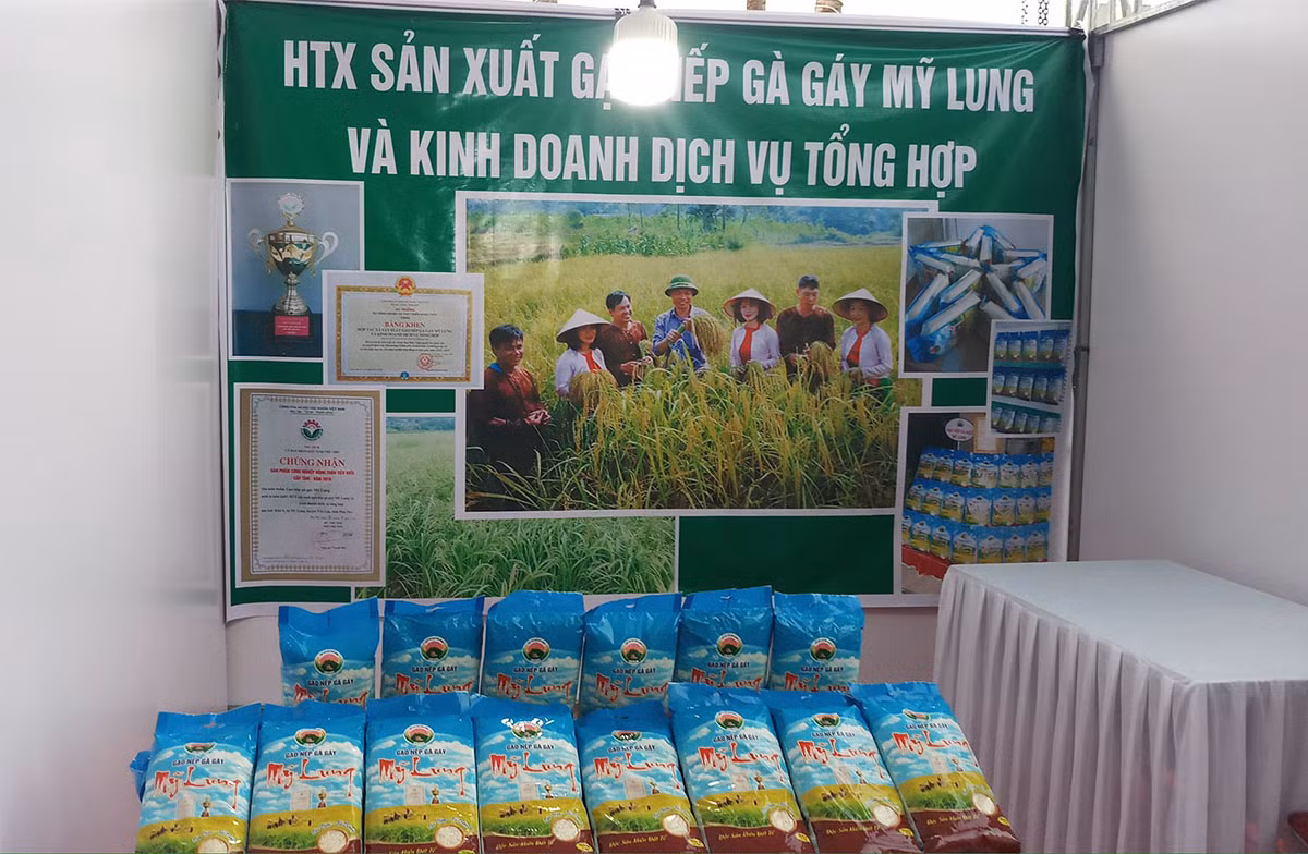 Phú Thọ tạo “bệ phóng” cho sản phẩm OCOP phát triển ở các huyện miền núi