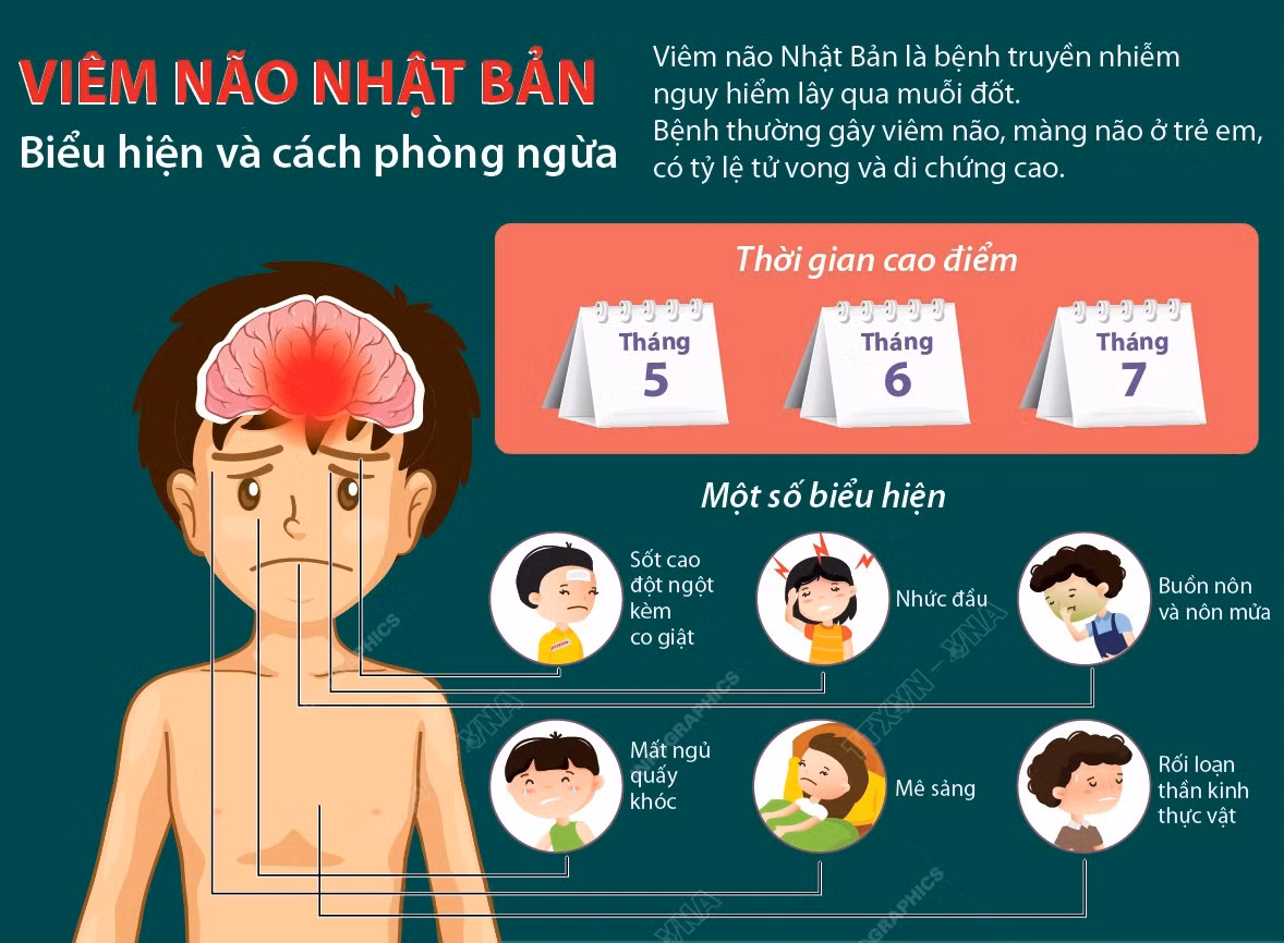 Đắk Lắk ghi nhận trường hợp mắc bệnh Viêm não Nhật Bản