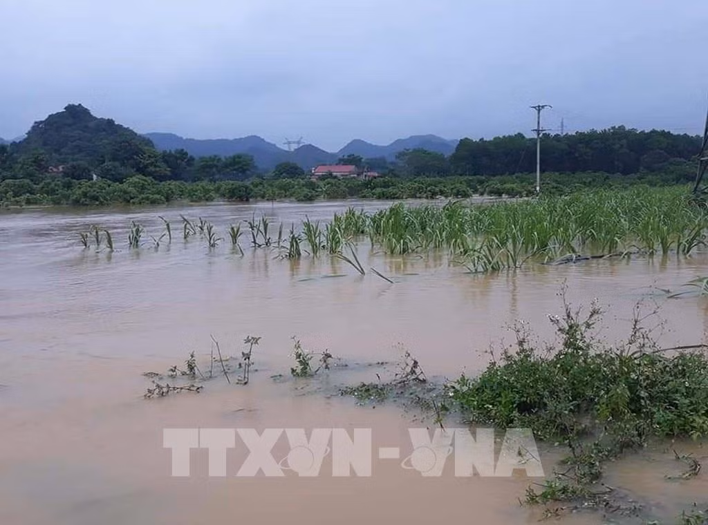 110954-thanh-hoa-mua-bao-gay-ngap-ung-nhieu-nha-dan-va-rau-mau-o-huyen-mien-nui-thach-thanh.jpg