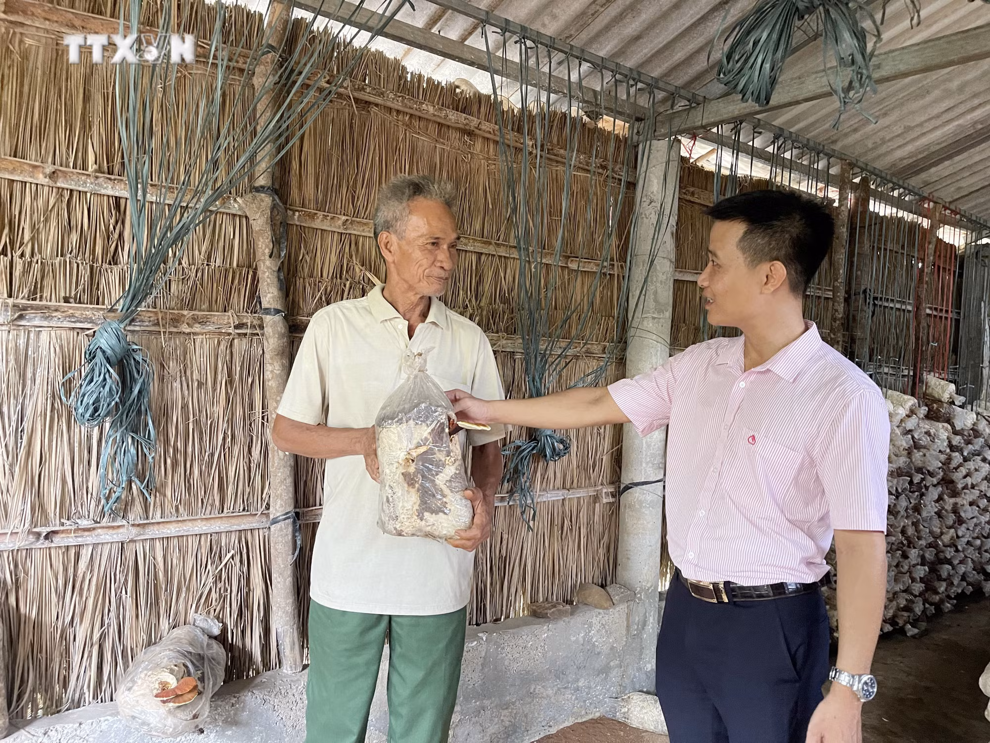 vna_potal_hieu_qua_tu_nguon_von_vay_uu_dai_danh_cho_doi_tuong_chinh_sach_tai_quang_tri_7498375.jpg
