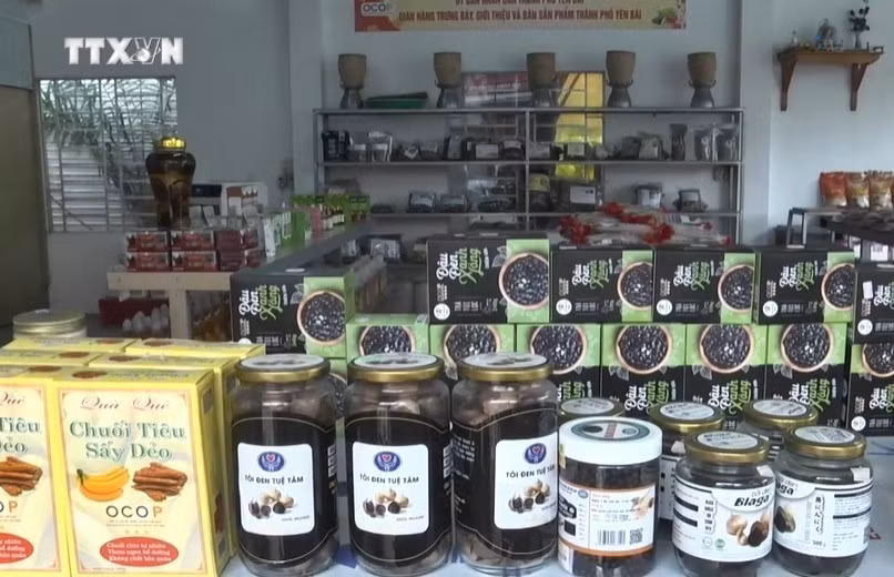 vna_potal_yen_bai_dot_pha_phat_trien_nong_san_chu_luc__7738459.jpg