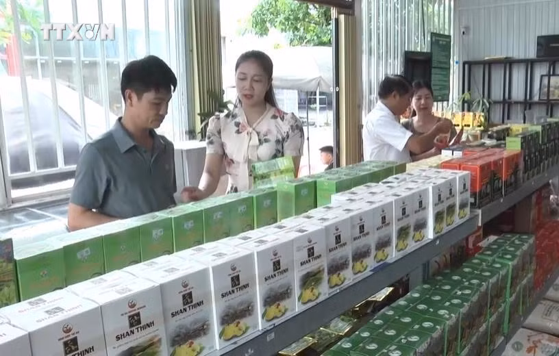vna_potal_yen_bai_dot_pha_phat_trien_nong_san_chu_luc__7738466.png