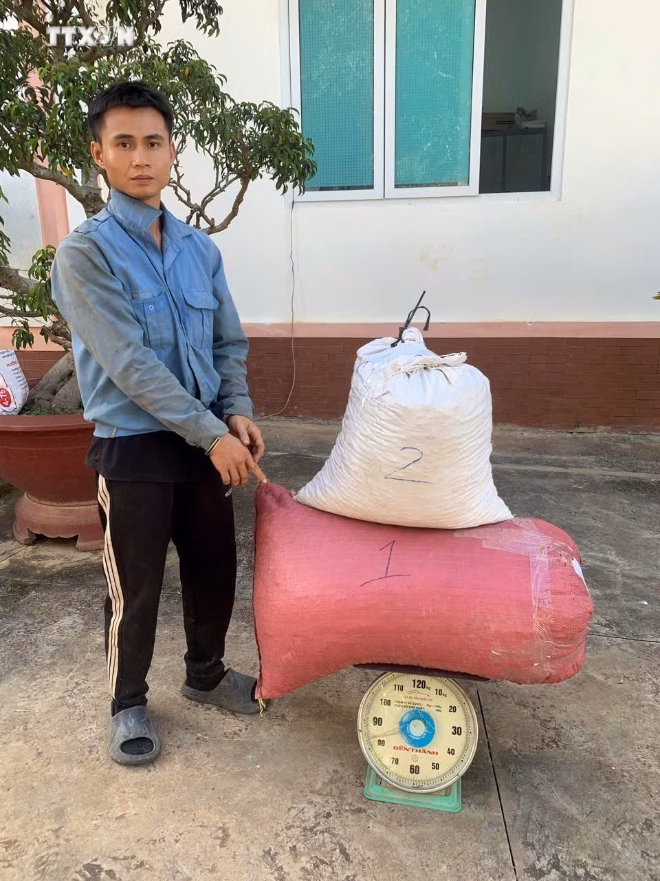 vna_potal_khoi_to_doi_tuong_trom_cap_ca_phe_tai_lam_dong_7709096.jpg