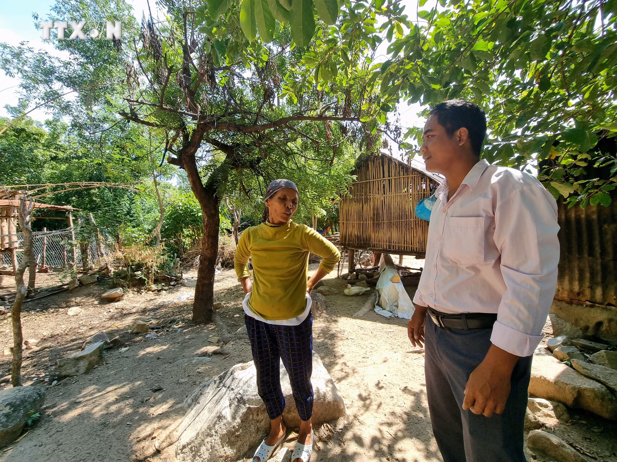 vna_potal_can_som_on_dinh_cho_o_sinh_ke_cho_nguoi_dan_vung_sat_lo_tai_ninh_thuan_7527372.jpg