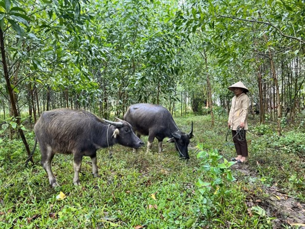 giam-ngheo-07032024-01.jpg
