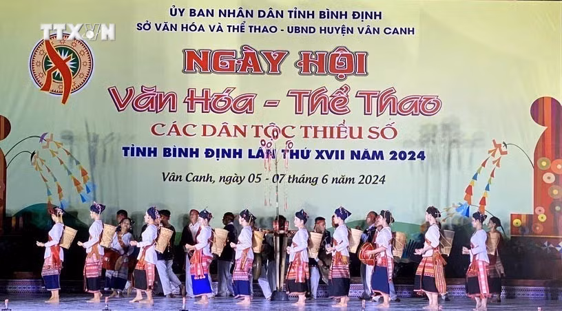 vna_potal_ngay_hoi_van_hoa-the_thao_cac_dan_toc_thieu_so_tinh_binh_dinh_lan_thu_17___7415207.jpg
