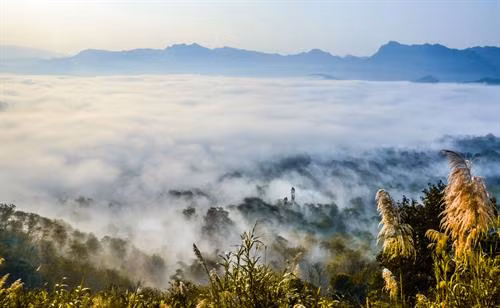 Biển mây trên đèo Tằng Quái