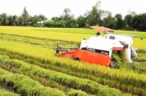 Tiền Giang: Đưa vào sản xuất nhiều giống thích ứng với biến đổi khí hậu