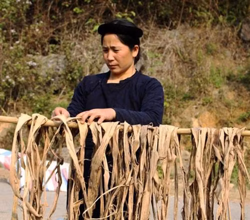 Giấy bản của người Nùng ở Quảng Uyên "đắt hàng"