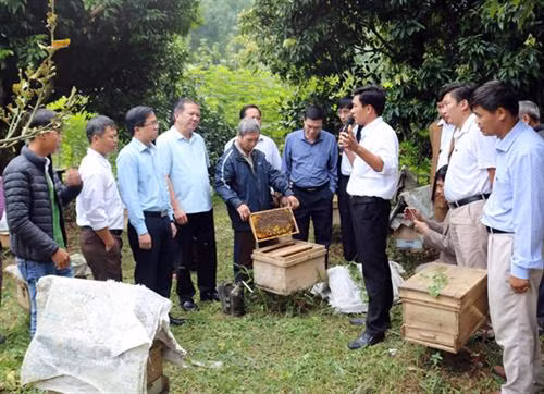 Bước tiến mới trong xây dựng các mô hình nông nghiệp hữu cơ ở Lào Cai
