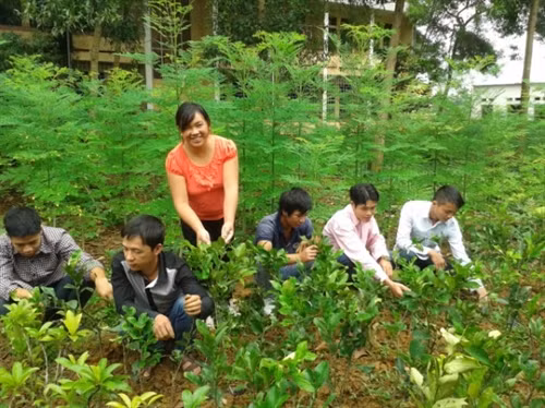 Cô gái Tày vượt khó vươn tới lĩnh vực khoa học “xanh”