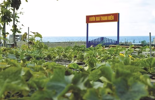 Màu xanh trên quần đảo Trường Sa
