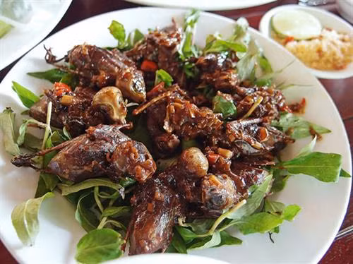 Chim mía đặc sản của đất võ Tây Sơn
