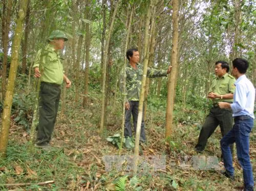 Phát triển kinh tế gắn với xây dựng nông thôn mới tại huyện Quan Hóa