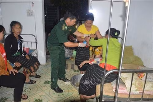 Nghệ An cứu sống nạn nhân ngộ độc lá ngón