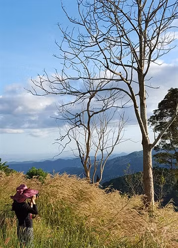 Nơi Yersin bước vào Cao nguyên