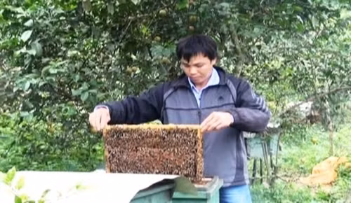 Anh Thắng làm kinh tế giỏi