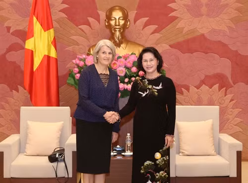 Chủ tịch Quốc hội Nguyễn Thị Kim Ngân tiếp Đại sứ Đan Mạch và Đại sứ Thụy Điển