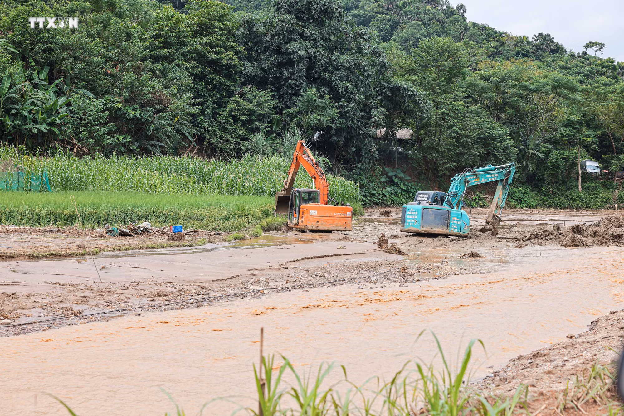 vna_potal_lang_nu_hoang_tan_sau_lu_du_7600425.jpg