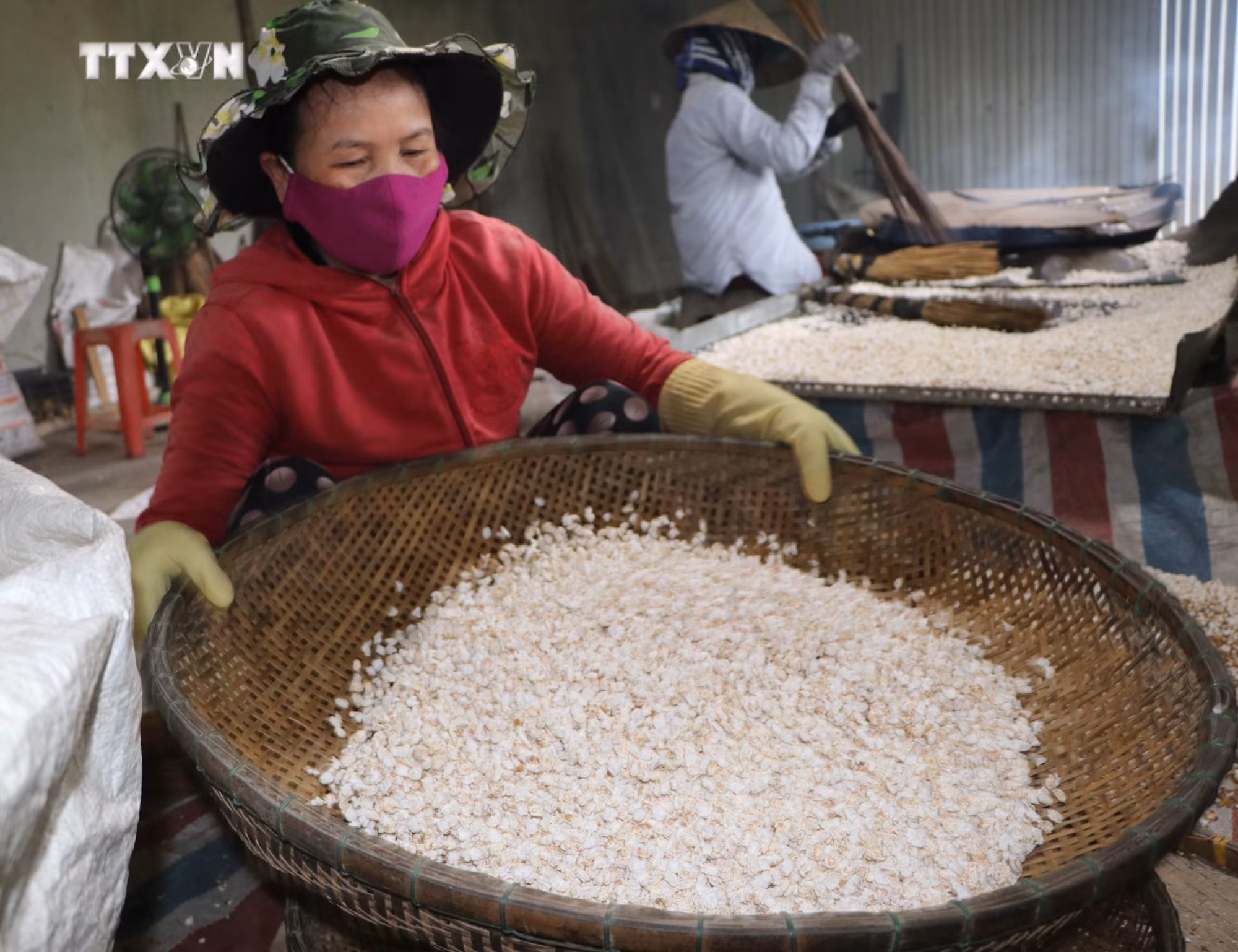 vna_potal_cac_lang_banh_truyen_thong_quang_ngai_vao_vu_tet_2025_7753299.jpg