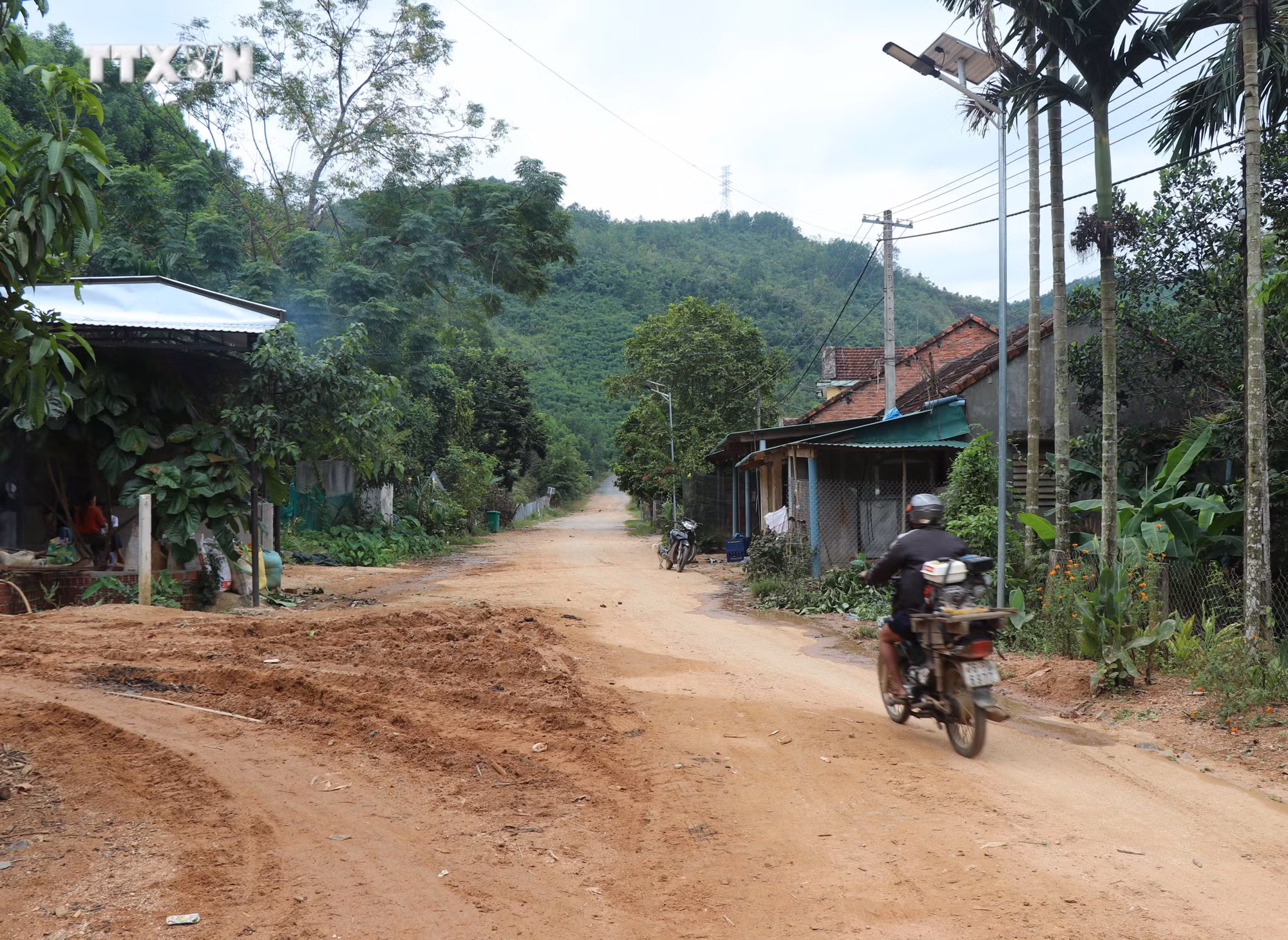 vna_potal_quang_ngai_chu_dong_ung_pho_voi_cac_diem_nguy_co_cao_sat_lo_nui_o_huyen_son_ha_7633072.jpg