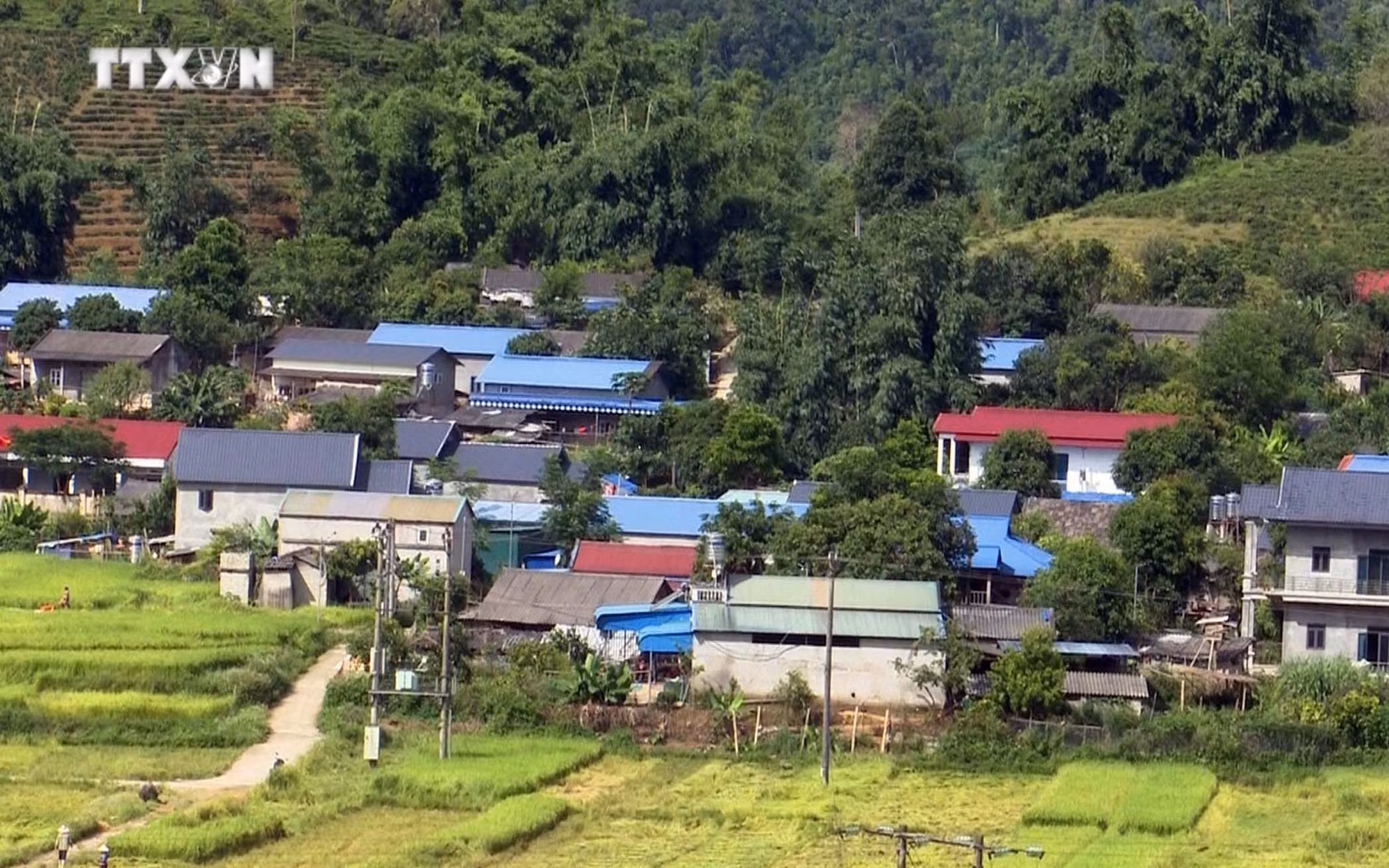 vna_potal_khat_vong_thoat_ngheo_cua_huyen_vung_cao_tam_duong_lai_chau_7611369.jpg